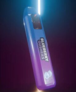 Stoner Stix Disposable Blueberry Gushers 2g