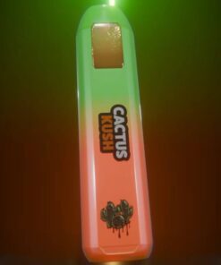 Stoner Stix Disposable Cactus Kush 2G