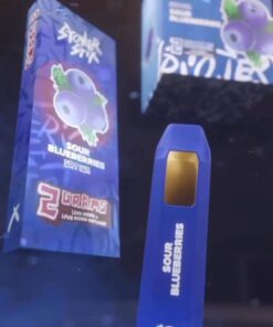 Stoner Stix Sour Blueberries Disposable 2G